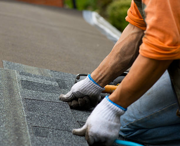 Best Roof Gutter Cleaning  in St Andrews, SC